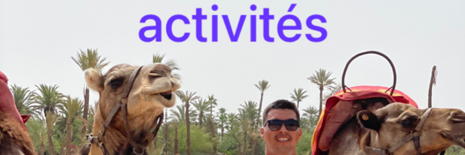 Unforgettable Day Excursions from Marrakech Await You!