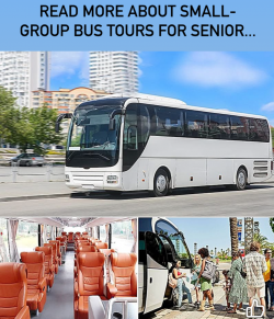 Minibus 17 / 30 place