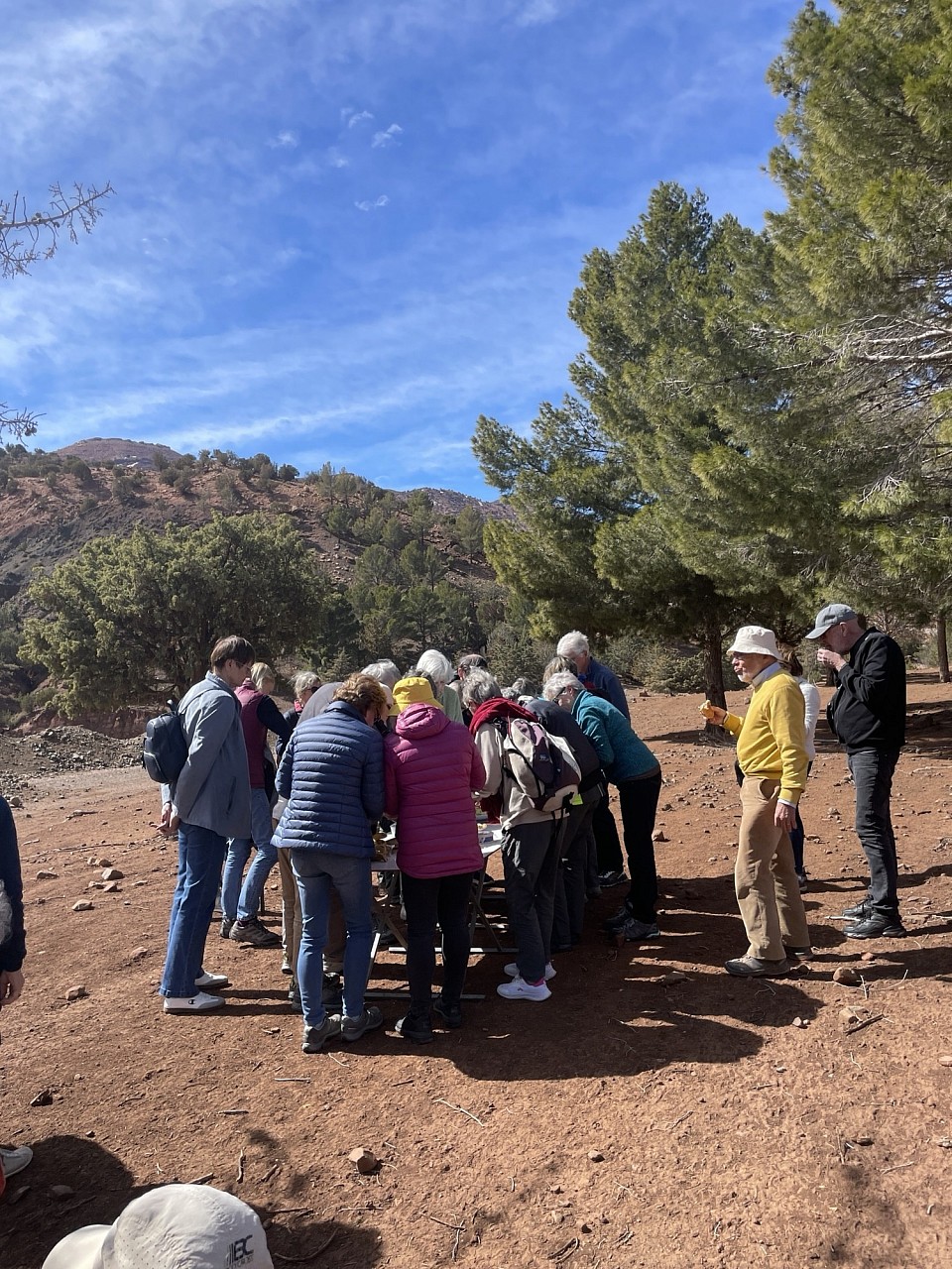 DAY 1.  : MARRAKECH – AIT BEN HADDOU – OURZAZAT – DADES VALLEY Departure after breakfast crossing the High Atlas by the TIZI IN TICHKA pass (2,260 m above sea level), passing through Berber villages to reach the fortified village of 'AIT BEN HADDO free time to visit it quietly, lunch in the village and continue towards the Dadès Valley Dinner and accommodation at the hotel